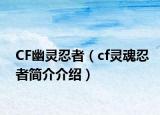 CF幽靈忍者（cf靈魂忍者簡(jiǎn)介介紹）
