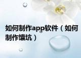 如何制作app軟件（如何制作馕坑）