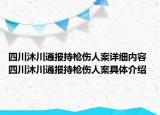 四川沐川通報(bào)持槍傷人案詳細(xì)內(nèi)容 四川沐川通報(bào)持槍傷人案具體介紹