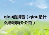 qiou的拼音（qiou是什么意思簡(jiǎn)介介紹）