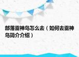 部落雷神島怎么去（如何去雷神島簡(jiǎn)介介紹）