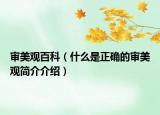 審美觀百科（什么是正確的審美觀簡介介紹）