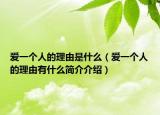 愛一個人的理由是什么（愛一個人的理由有什么簡介介紹）