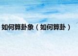 如何算卦象（如何算卦）