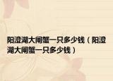 陽(yáng)澄湖大閘蟹一只多少錢（陽(yáng)澄湖大閘蟹一只多少錢）