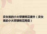 賣女孩的小火柴銀桃花番外（賣女孩的小火柴銀桃花網(wǎng)盤）