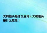 大禍臨頭是什么生肖（大禍臨頭是什么意思）