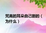 梵高的耳朵自己割的（為什么）