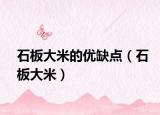 石板大米的優(yōu)缺點(diǎn)（石板大米）