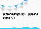 黃龍600油耗多少升（黃龍600油耗多少）