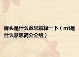 麻頭是什么意思解釋一下（mt是什么意思簡介介紹）