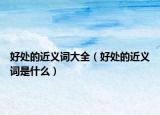 好處的近義詞大全（好處的近義詞是什么）