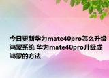 今日更新華為mate40pro怎么升級(jí)鴻蒙系統(tǒng) 華為mate40pro升級(jí)成鴻蒙的方法