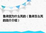 魯肅因?yàn)槭裁此赖模斆C怎么死的簡(jiǎn)介介紹）