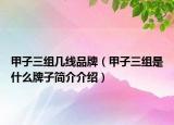 甲子三組幾線品牌（甲子三組是什么牌子簡介介紹）