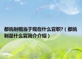 都統(tǒng)制相當(dāng)于現(xiàn)在什么官職?（都統(tǒng)制是什么官簡(jiǎn)介介紹）