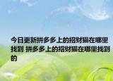 今日更新拼多多上的招財(cái)貓?jiān)谀睦镎业?拼多多上的招財(cái)貓?jiān)谀睦镎业降? /></span></a>
                        <h2><a href=