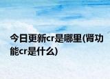 今日更新cr是哪里(腎功能cr是什么)