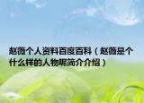 趙薇個人資料百度百科（趙薇是個什么樣的人物呢簡介介紹）