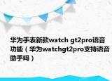 華為手表新款watch gt2pro語(yǔ)音功能（華為watchgt2pro支持語(yǔ)音助手嗎）