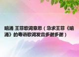 暗涌 王菲歌詞意思（急求王菲《暗涌》的粵語歌詞發(fā)音多謝多謝）