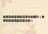 金星到底是男的還是女的圖片（金星到底是男的還是女的）