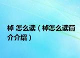 棹 怎么讀（棹怎么讀簡(jiǎn)介介紹）