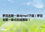 羅百吉那一夜djmp3下載（羅百吉那一夜dj在線播放）