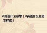it英語什么意思（it英語什么意思.怎樣讀）