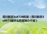 四川航空3u8726機(jī)型（四川航空3u8873是什么機(jī)型簡(jiǎn)介介紹）