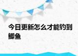 今日更新怎么才能釣到鯽魚