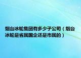 煙臺冰輪集團有多少子公司（煙臺冰輪是省屬國企還是市屬的）