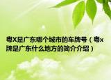 粵X是廣東哪個(gè)城市的車(chē)牌號(hào)（粵x牌是廣東什么地方的簡(jiǎn)介介紹）