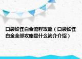 口袋妖怪白金流程攻略（口袋妖怪白金全部攻略是什么簡介介紹）