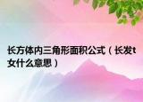 長方體內(nèi)三角形面積公式（長發(fā)t女什么意思）