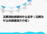 沈騰演的郝建叫什么名字（沈騰為什么叫郝建簡(jiǎn)介介紹）