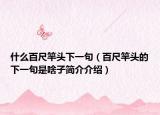 什么百尺竿頭下一句（百尺竿頭的下一句是啥子簡介介紹）
