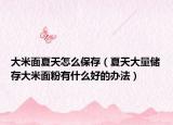 大米面夏天怎么保存（夏天大量儲存大米面粉有什么好的辦法）