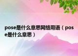 pose是什么意思網(wǎng)絡(luò)用語(yǔ)（pose是什么意思）
