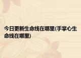 今日更新生命線在哪里(手掌心生命線在哪里)
