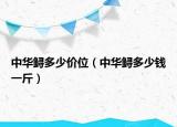 中華鱘多少價位（中華鱘多少錢一斤）