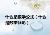 什么是數(shù)學(xué)公式（什么是數(shù)學(xué)悖論）
