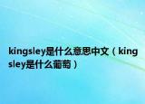 kingsley是什么意思中文（kingsley是什么葡萄）