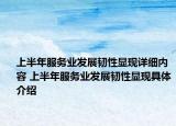 上半年服務(wù)業(yè)發(fā)展韌性顯現(xiàn)詳細內(nèi)容 上半年服務(wù)業(yè)發(fā)展韌性顯現(xiàn)具體介紹