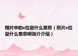 相片中的c位是什么意思（照片c位是什么意思啊簡介介紹）