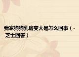 我家狗狗乳房變大是怎么回事（- 芝士回答）