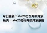 今日更新mate20怎么升級(jí)鴻蒙系統(tǒng) mate20如何升級(jí)鴻蒙系統(tǒng)