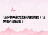 馬蘇事件來龍去脈真的假的（馬蘇事件是啥事）