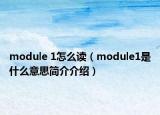 module 1怎么讀（module1是什么意思簡(jiǎn)介介紹）