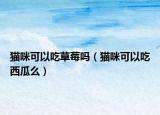 貓咪可以吃草莓嗎（貓咪可以吃西瓜么）